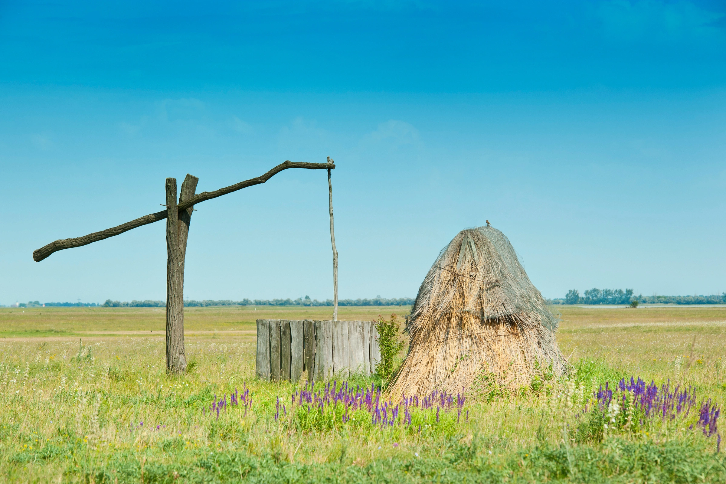 Puszta[1].webp